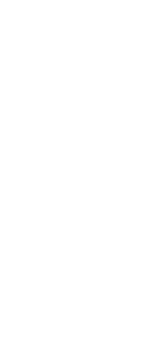 Decorative CTA shape 1