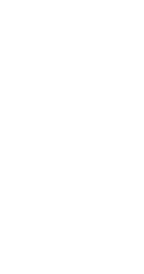 Decorative CTA shape 2